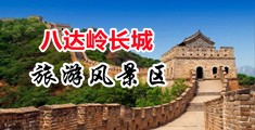 鸡巴插逼动态视频中国北京-八达岭长城旅游风景区
